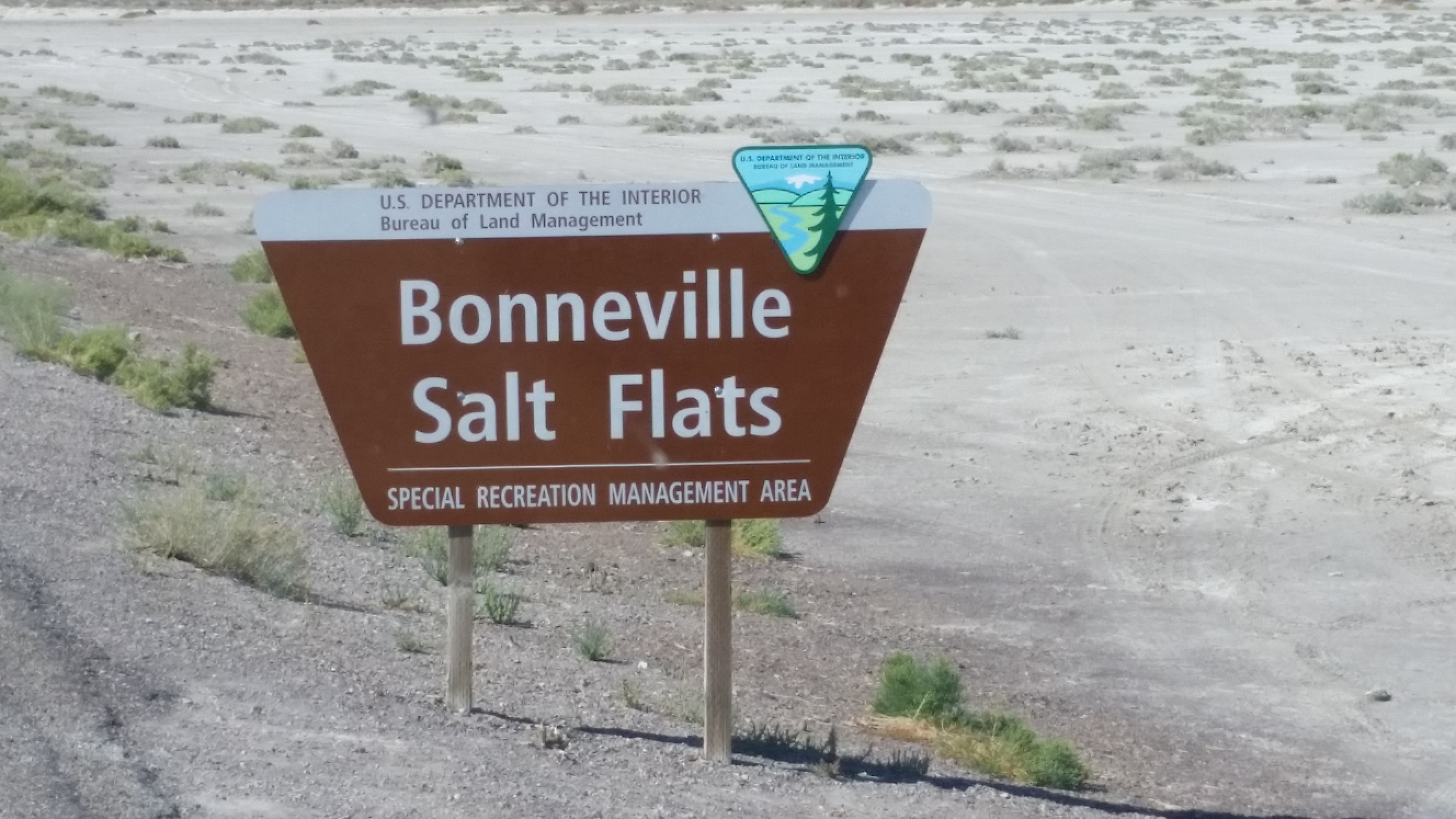 What is road salt made of?